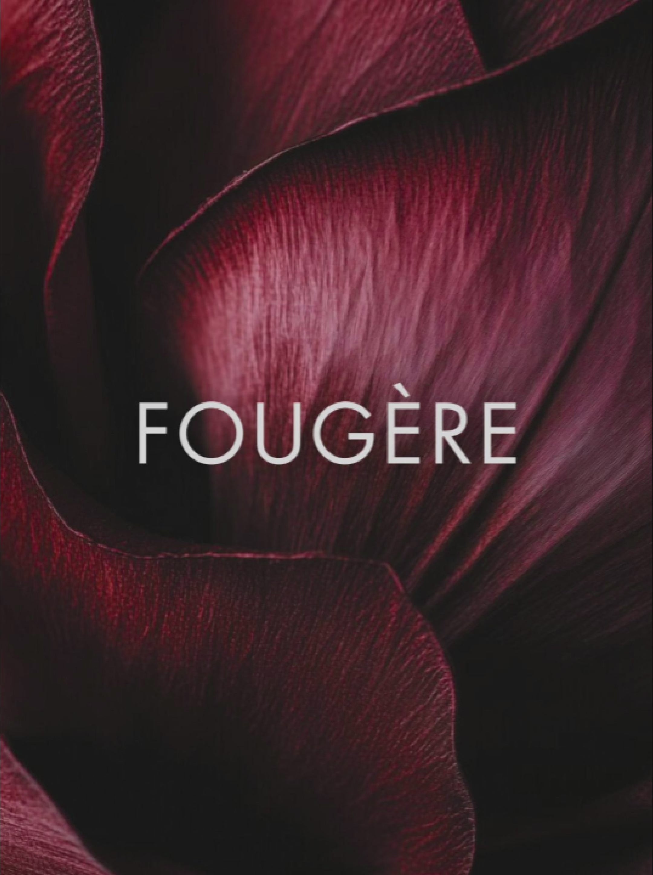 Fougère Eau de Parfum (e30mL) – One Fragrance House